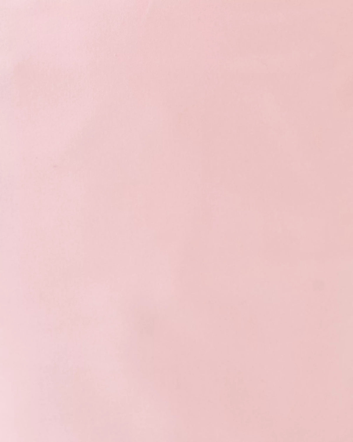3" Sarissa Stretch Short | Lilly Pulitzer Women