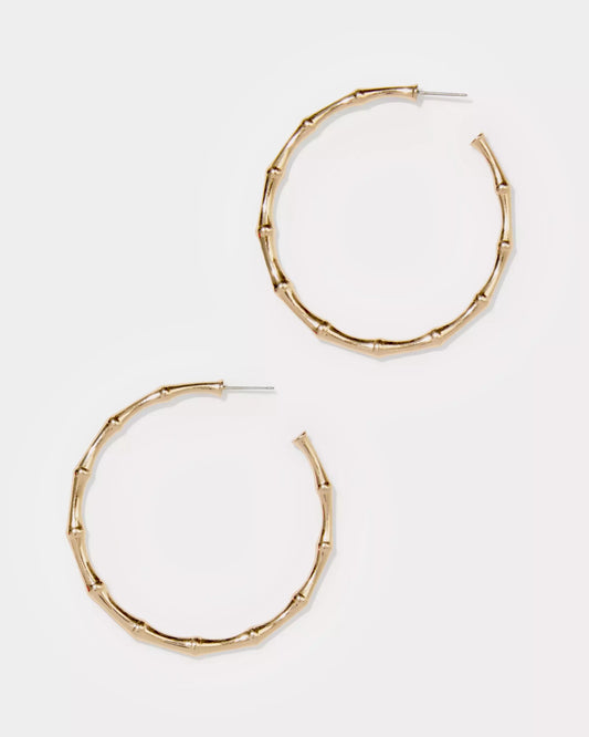 Bamboo Forest Hoop Earrings | Lilly Pulitzer Accessories